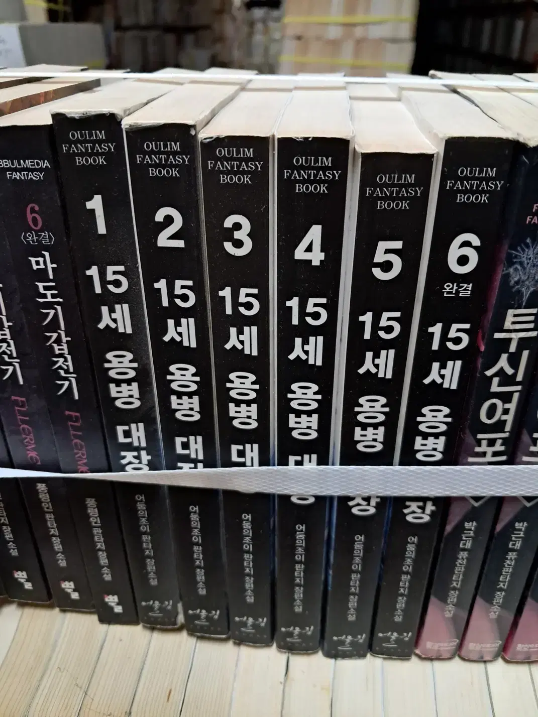 15세 용병대장 1-6 완 /어울림